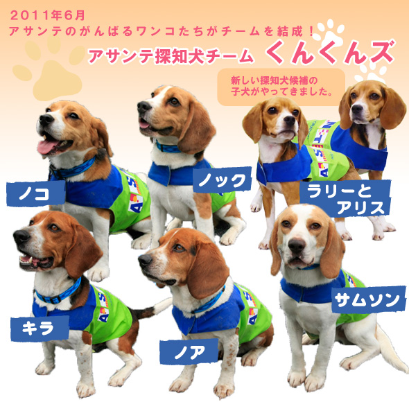 �A�T���e�T�m���`�[�� ���񂭂�Y