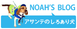 NOAH’S BLOG アサンテのしろあり犬