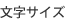 文字サイズ