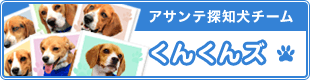 アサンテ探知犬チーム　くんくんズ