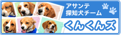 アサンテ探知犬チーム くんくんズ