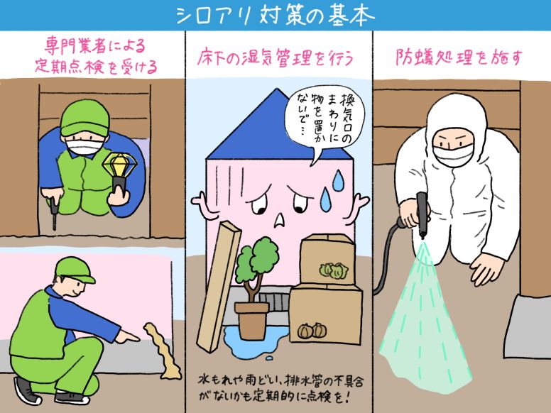 シロアリ対策の基本