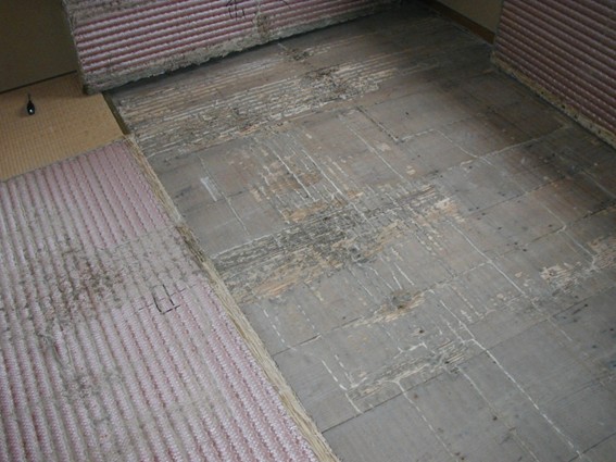 シロアリ被害にあった畳と和室