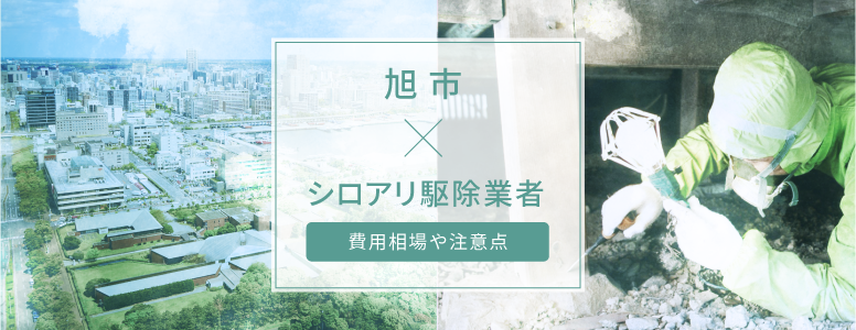 旭市✕シロアリ駆除 駆除費用の相場や注意点