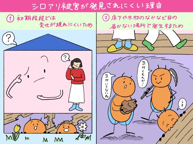 シロアリ被害が発見されにくい2つの理由