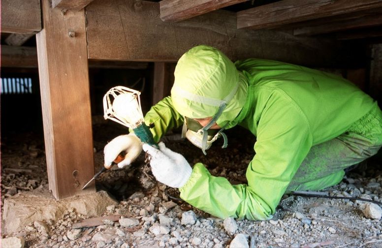 経験豊富な専門スタッフによるシロアリ点検・駆除の様子
