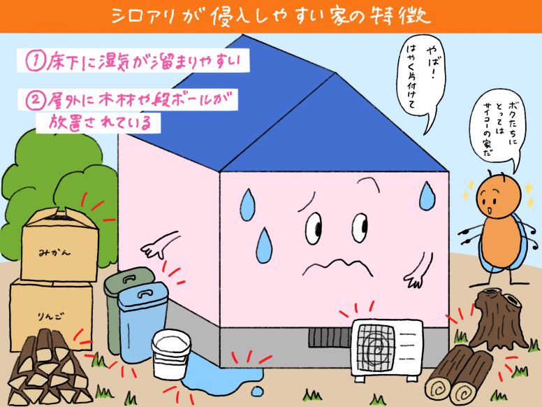 シロアリが侵入しやすい家の特徴