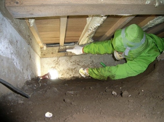 経験豊富な専門スタッフによるシロアリ点検・駆除の様子