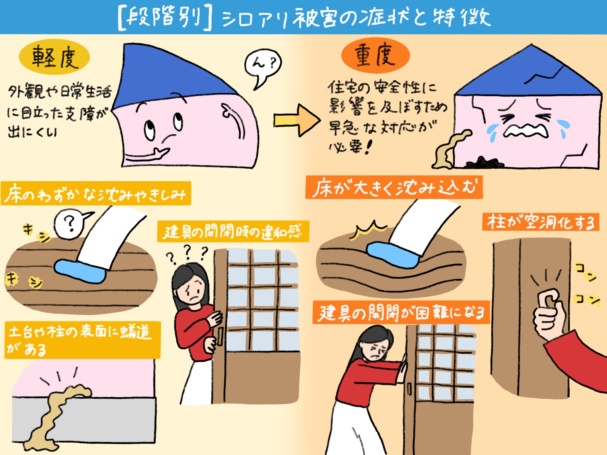 【軽度から重度まで段階別】シロアリ被害の症状と特徴