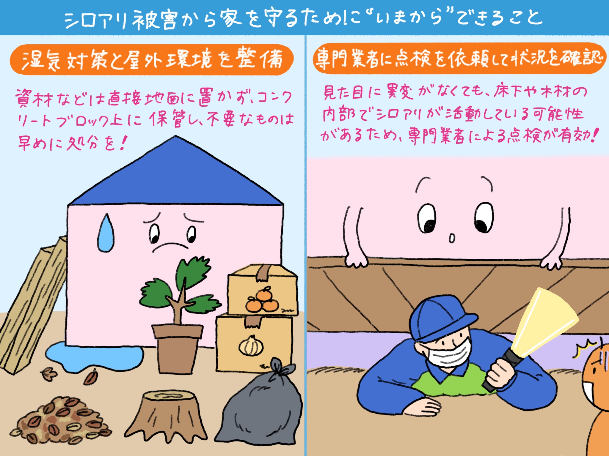 シロアリ被害から家を守るために“いまから”できる2つのこと