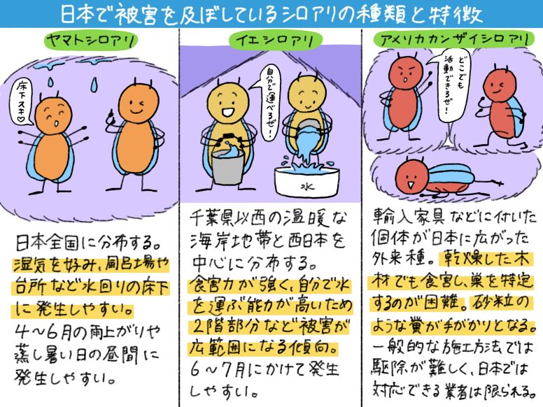 日本で被害を及ぼしている3種類のシロアリの特徴