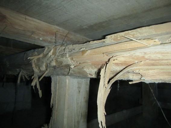 シロアリ被害を受けた建物の床下