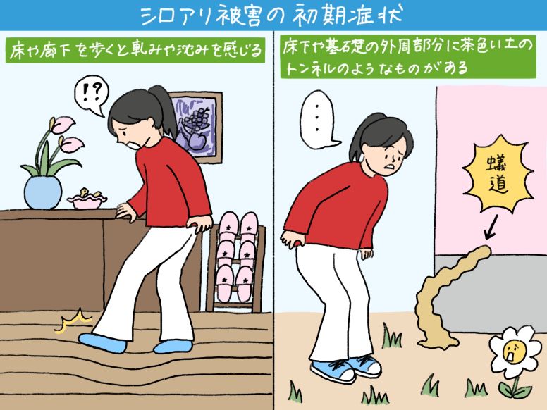 シロアリ被害の初期症状