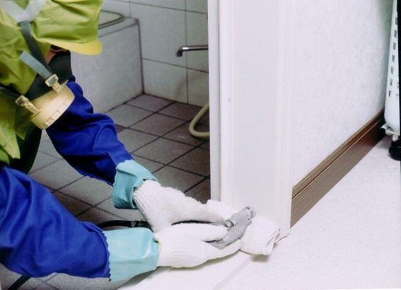 専門業者による浴室周辺のシロアリ駆除の様子