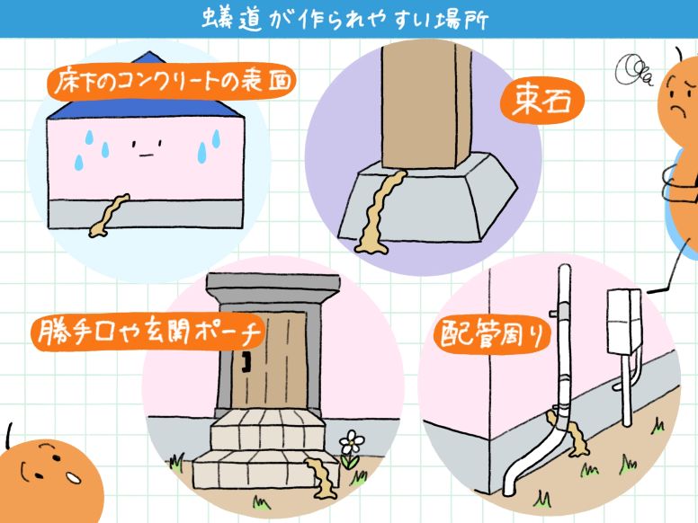 シロアリの蟻道が作られやすい場所
