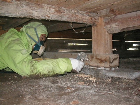 専門業者によるシロアリ駆除の様子