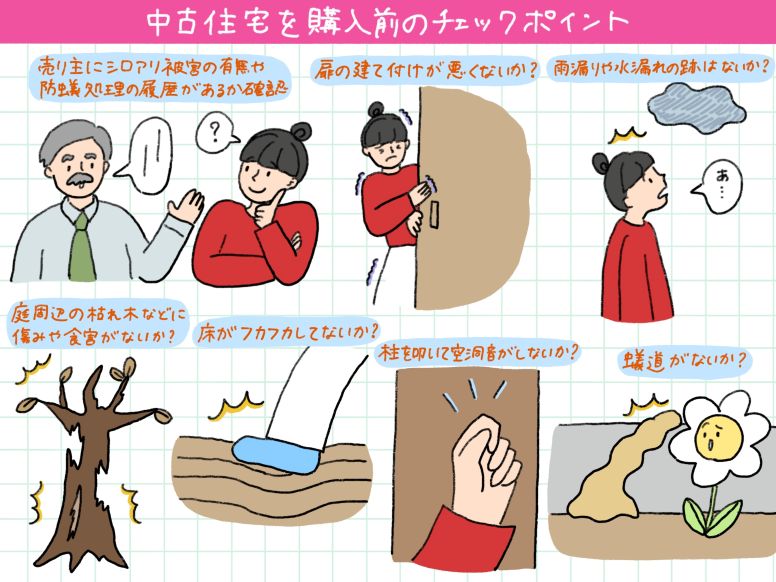 シロアリ被害の有無や防蟻処理の履歴があるかも要確認！中古住宅を購入前のチェックポイント