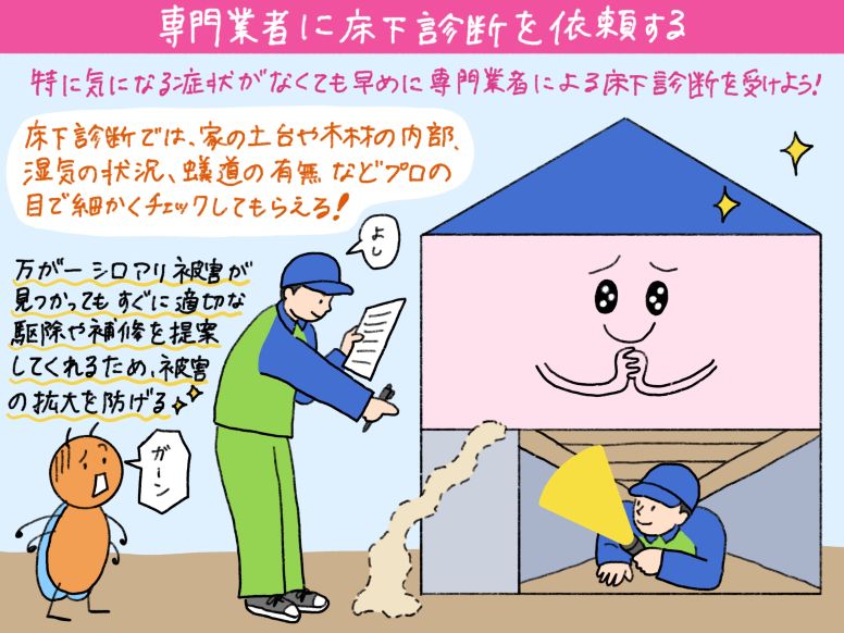 シロアリ被害について専門業者に床下診断を依頼する