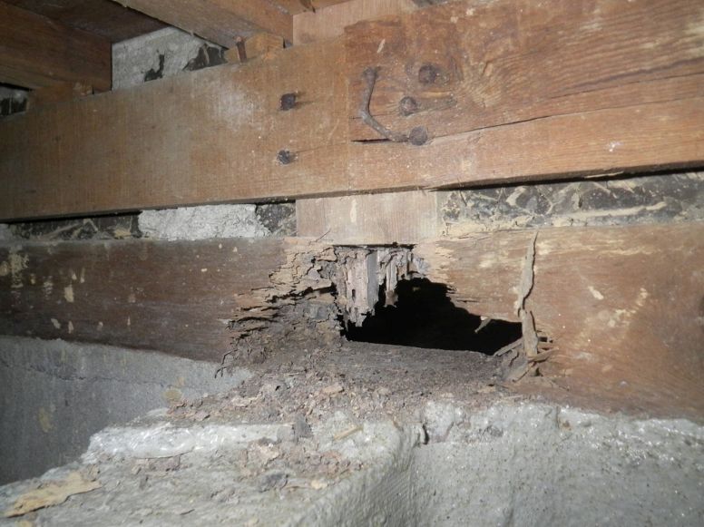 シロアリ被害を受けた建物の内部の様子