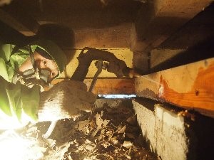 尾張大國霊神社