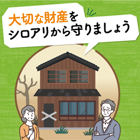 大切なお家財産をシロアリから守りましょう