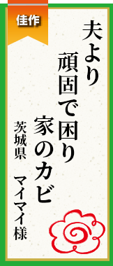 夫より頑固で困り家のカビ 茨城県 マイマイ様