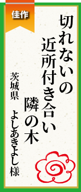 切れないの近所付き合い隣の木 茨城県 よしあきよし様