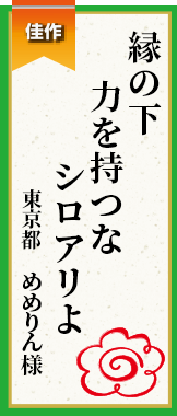 縁の下力を持つなシロアリよ 東京都 めめりん様