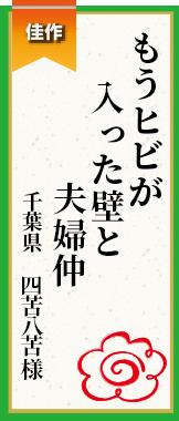 もうヒビが入った壁と夫婦仲 千葉県 四苦八苦様