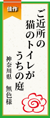 ご近所の猫のトイレがうちの庭 神奈川県 無色様