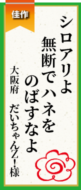 シロアリよ無断でハネをのばすなよ 大阪府 だいちゃんＺ！様