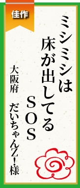 ミシミシは床が出してるＳＯＳ 大阪府 だいちゃんＺ！様