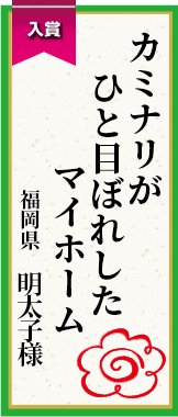 カミナリがひと目ぼれしたマイホーム 福岡県 明太子様