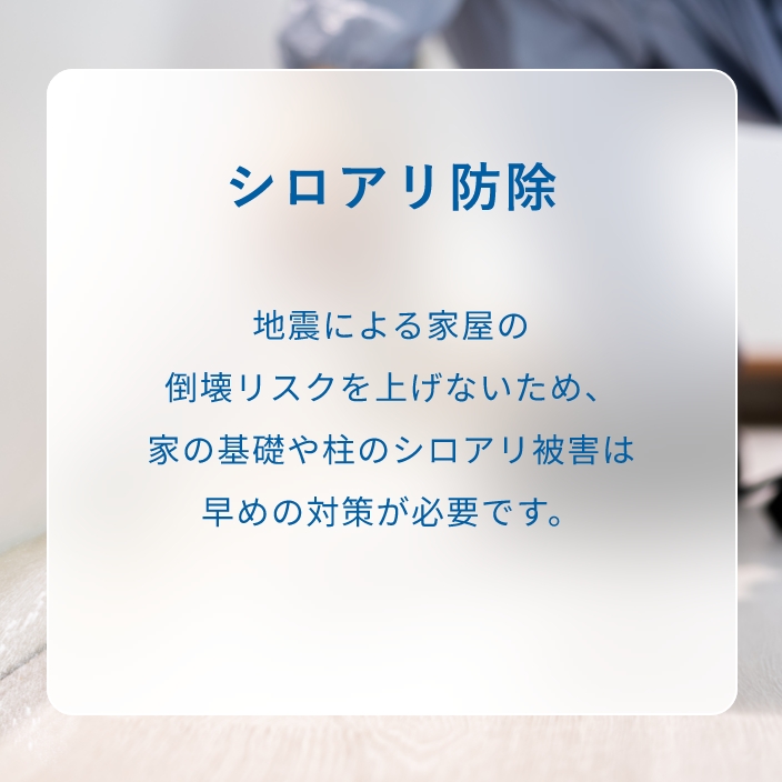 シロアリ防除