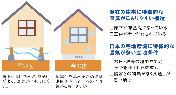 昔の家と今の家