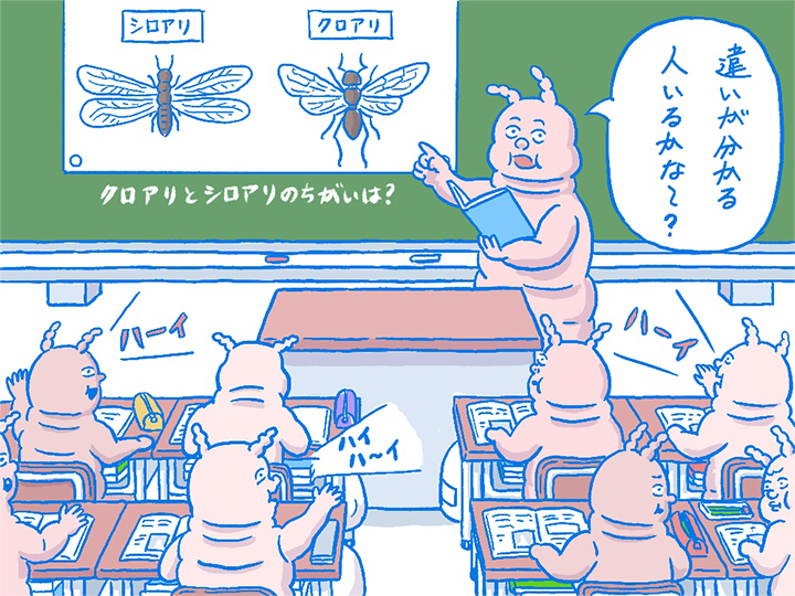 突然、家の中に羽アリが!? 果たしてその正体は…?