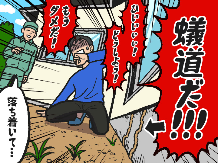 シロアリの蟻道を見つけた際の対処法は?見分け方から種類まで解説!