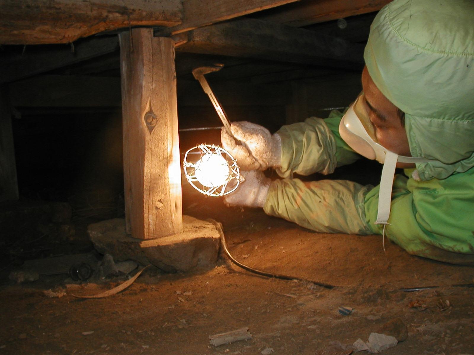 シロアリ駆除業者の床下点検の様子
