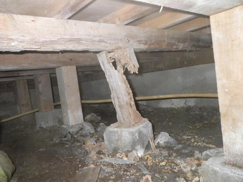 シロアリの食害の被害にあった建物の土台
