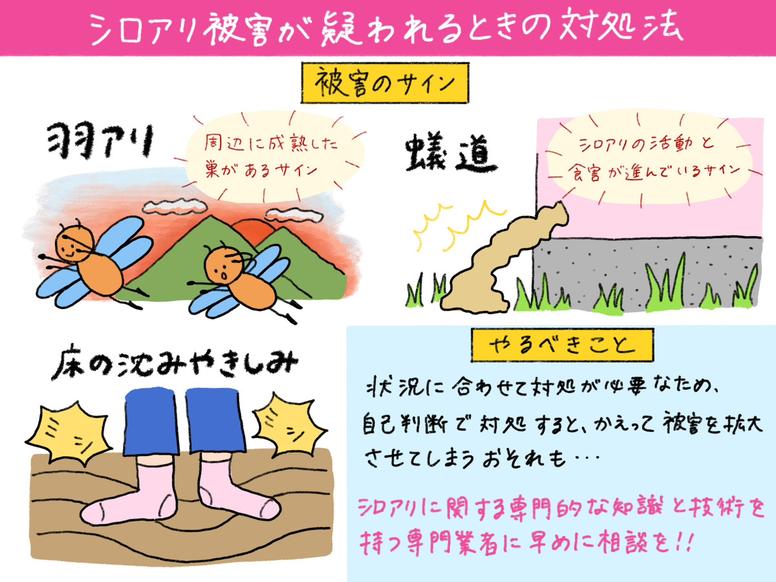 シロアリ被害が疑われるときのサインと対処方法