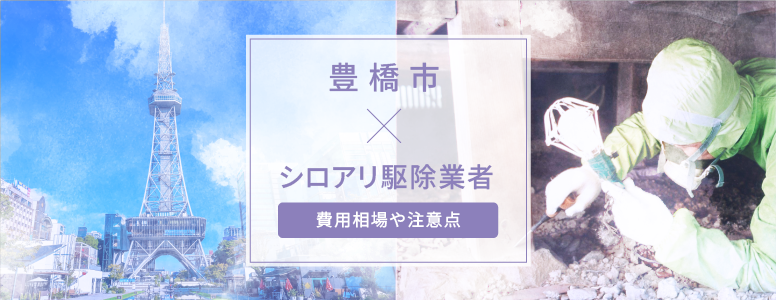 豊橋市✕シロアリ駆除 駆除費用の相場や注意点
