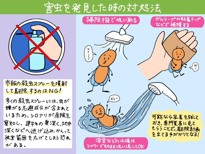 シロアリなどの害虫を発見した時の対処法