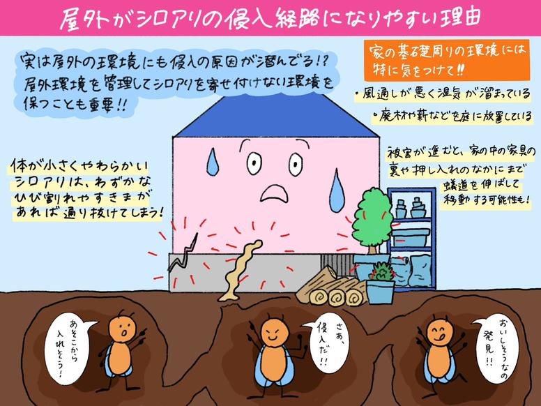 屋外がシロアリの侵入経路になりやすい理由