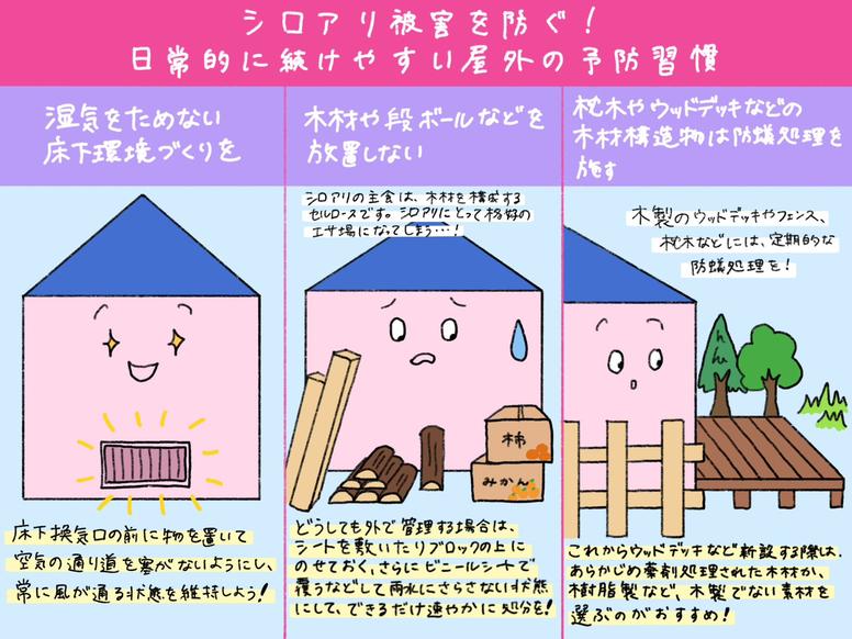 シロアリ被害を防ぐための日常的に続けやすい屋外の予防習慣