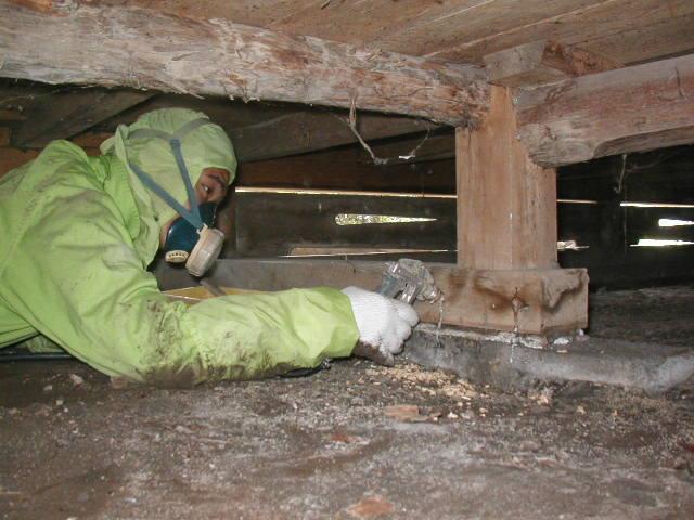 専門業者によるシロアリ駆除の様子