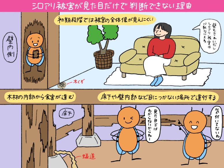シロアリ被害が見た目だけで判断できない理由