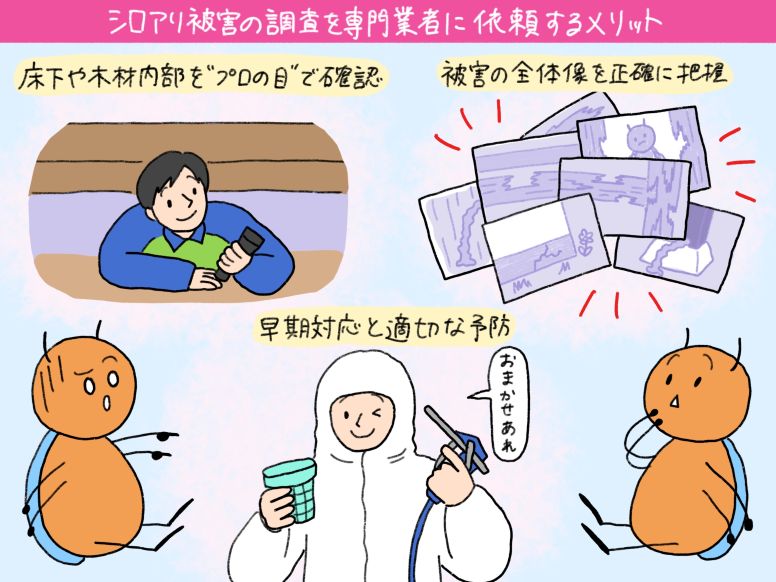 シロアリ被害の調査を専門業者に依頼するメリット