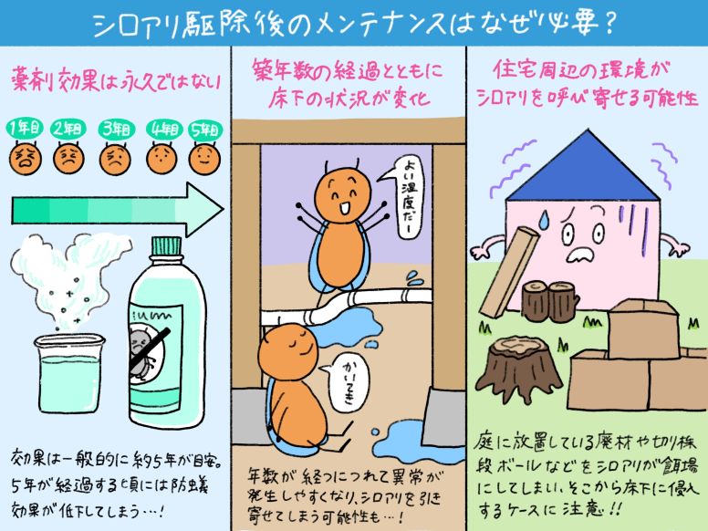 シロアリ駆除後のメンテナンスが必要な理由