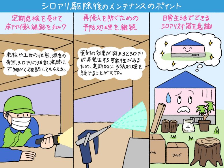 シロアリ駆除後のメンテナンスのポイント