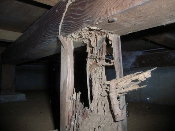 シロアリ被害にあった建物の束柱